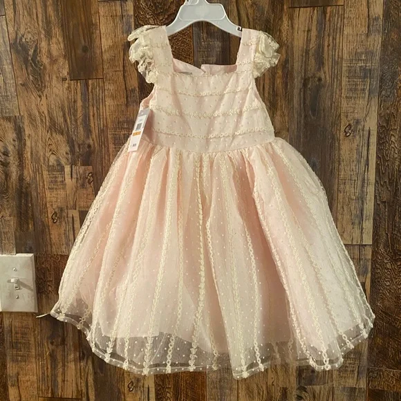 Pippa & Julie | Dresses | Nwt Pastourelle By Pippa Julie Girls Blush Pink  Truffle Embroidered Dress | Poshmark